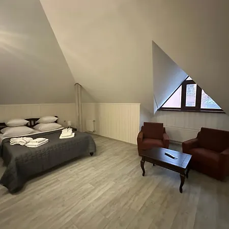 Centralnyi Hotel-3